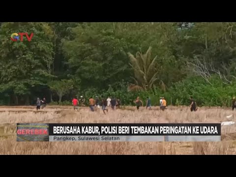 Pelaku Judi Sabung Ayam Kocar-kacir Saat Digerebek, Dua Orang Diamankan