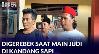 Penggerebekan Tiga Pria Bermain Judi di Kandang Sapi