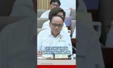 Darmadi PDIP Ultimatum Budi Arie Jangan Fitnah Partai Kami soal Judi Online