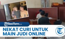 Ketagihan Judi Online Bikin Pria Kupang Nekat Curi di Alfamart dan Ditangkap Polisi